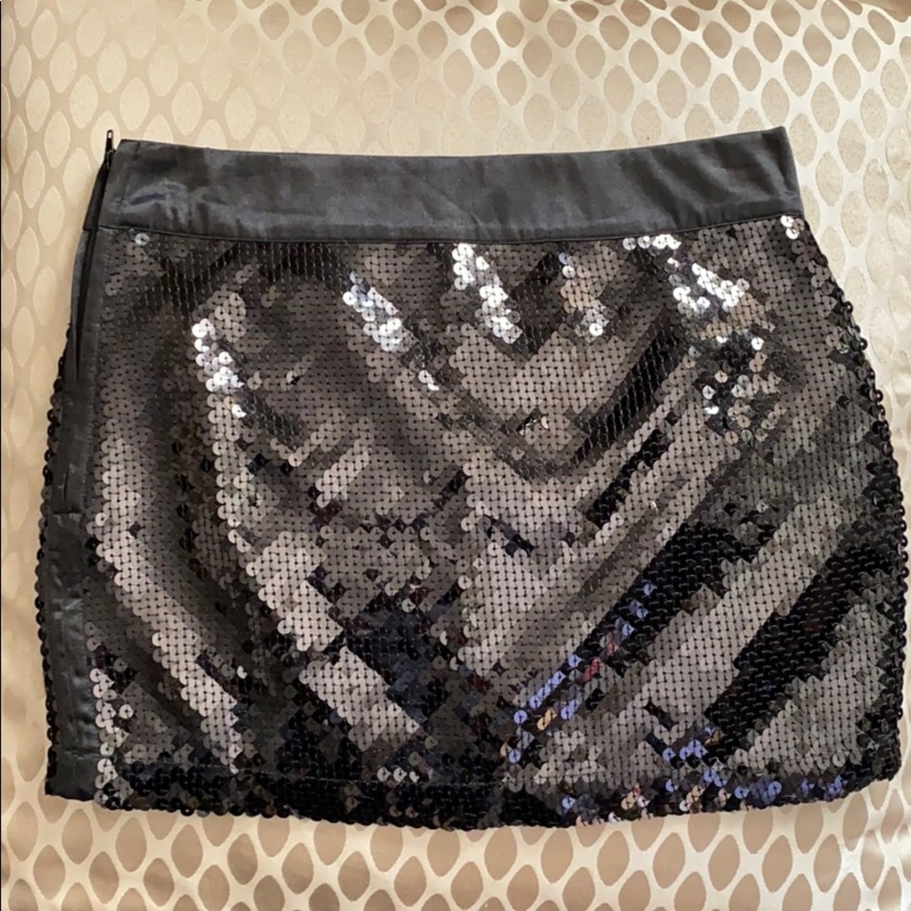 Sequin Skirt